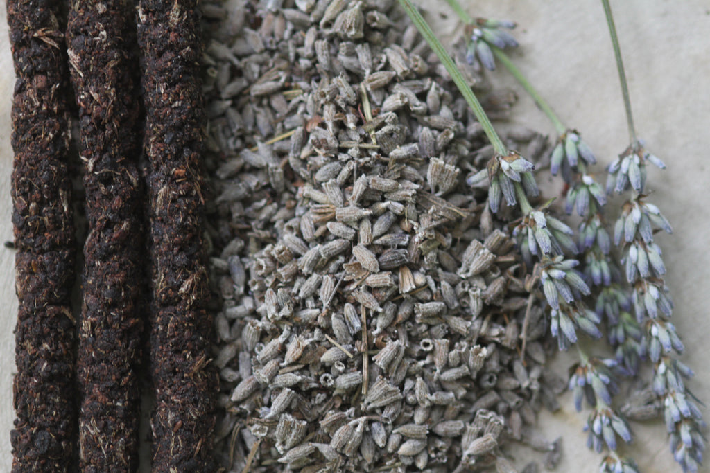 Kit Greda + 4 Cajas de Incienso Canelo Lavanda – Energía de la Tierra y Relajación Natural