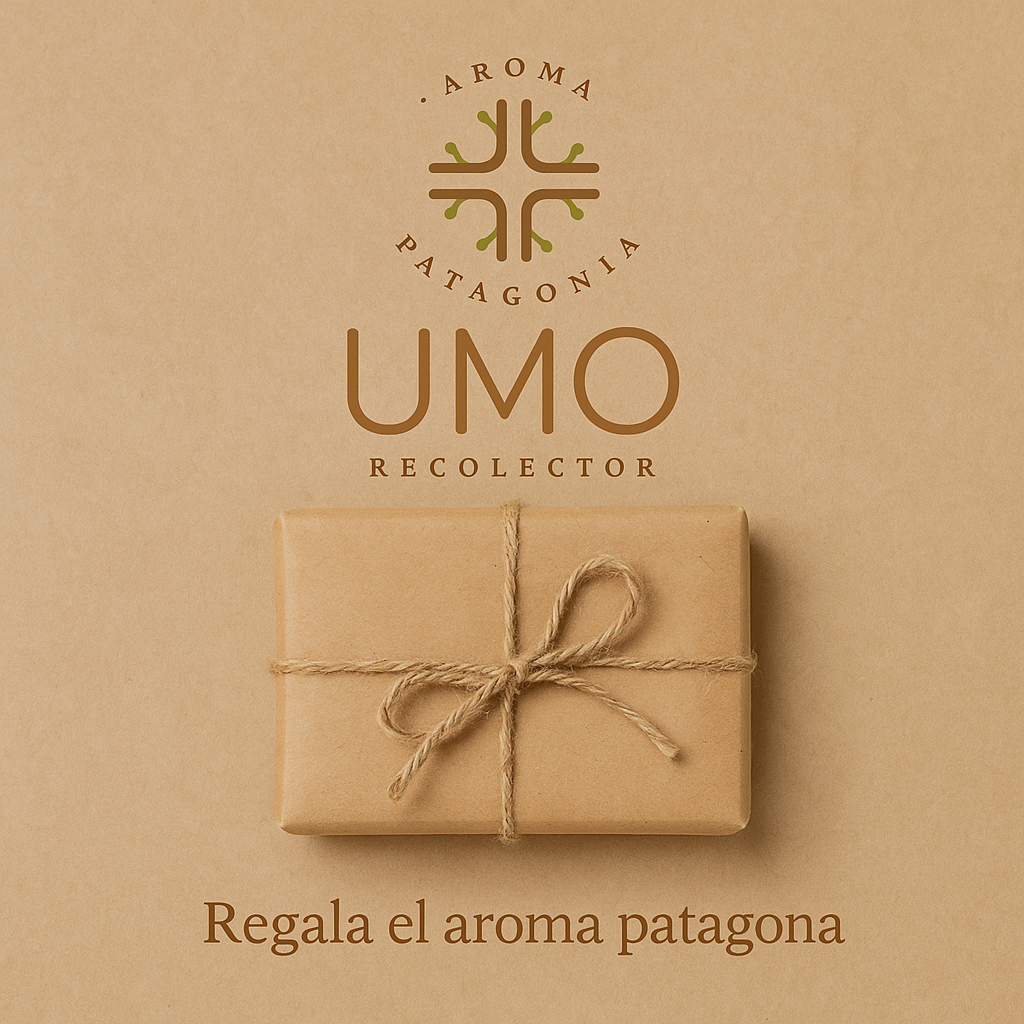 Envuelve tu regalo
