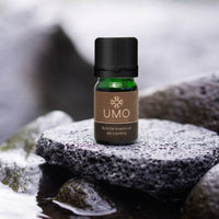 Aceite Esencial de Canelo · 5 ml